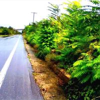 Земельный участок в Греции