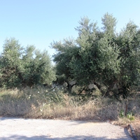 Земельный участок в Греции