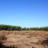 Земельный участок в Греции