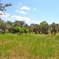 Land plot in Greece
