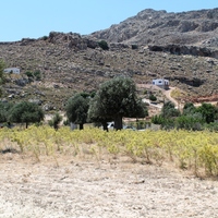Land plot in Greece