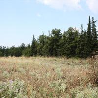 Land plot in Greece