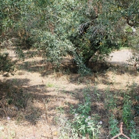 Land plot in Greece