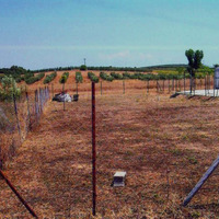 Земельный участок в Греции