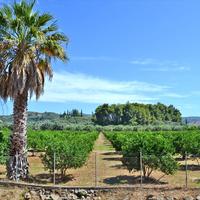 Земельный участок в Греции