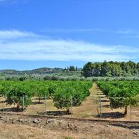 Земельный участок в Греции