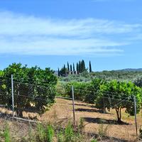 Земельный участок в Греции