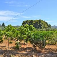 Земельный участок в Греции