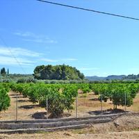 Земельный участок в Греции