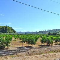 Земельный участок в Греции