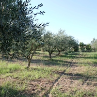 Other in Greece, 145 sq.m.