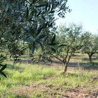 Other in Greece, 145 sq.m.