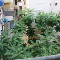 Flat in Greece, 92 sq.m.