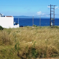 Land plot in Greece, 300 sq.m.