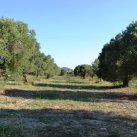 Земельный участок в Греции