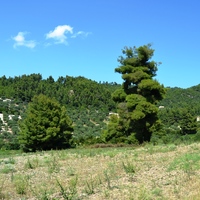 Земельный участок в Греции