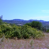 Земельный участок в Греции