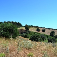 Земельный участок в Греции