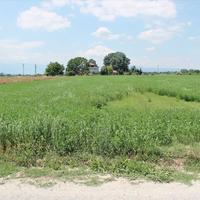 Land plot in Greece