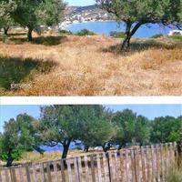 Land plot in Greece