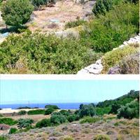 Land plot in Greece