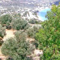 Land plot in Greece
