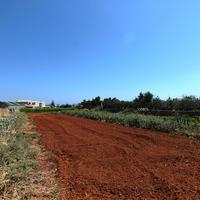 Land plot in Greece, 2600 sq.m.