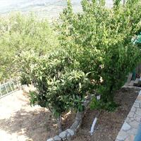 Other in Greece, 120 sq.m.