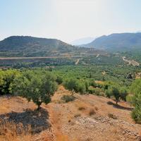 Земельный участок в Греции, 16800 кв.м.