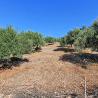 Земельный участок в Греции, 16800 кв.м.