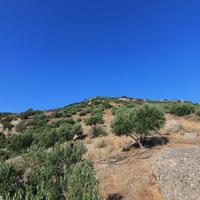 Земельный участок в Греции, 16800 кв.м.