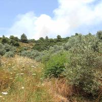 Land plot in Greece