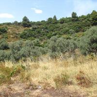 Land plot in Greece