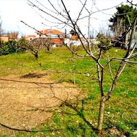 Земельный участок в Греции