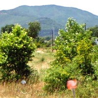 Land plot in Greece