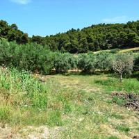 Land plot in Greece