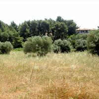 Land plot in Greece