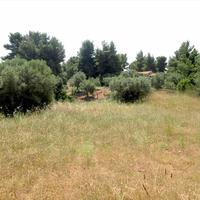 Land plot in Greece