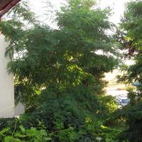 Other in Greece, 240 sq.m.