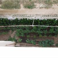 Other in Greece, 240 sq.m.