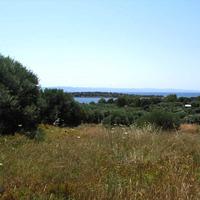 Land plot in Greece