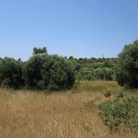 Land plot in Greece