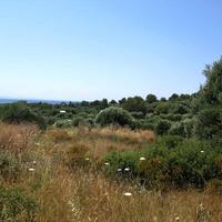 Land plot in Greece