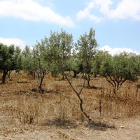 Земельный участок в Греции