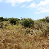 Land plot in Greece