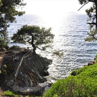 Земельный участок в Греции