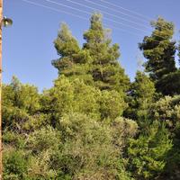 Земельный участок в Греции