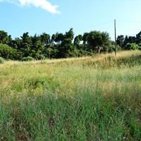 Земельный участок в Греции, 8500 кв.м.