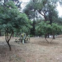 Flat in Greece, 125 sq.m.