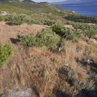 Земельный участок в Греции